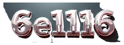 6e1116 logo